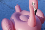 Flamingo Pool Floatie